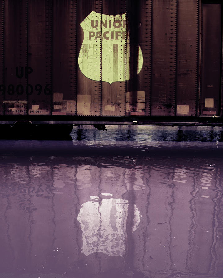 Cover Image for Flood Reflection