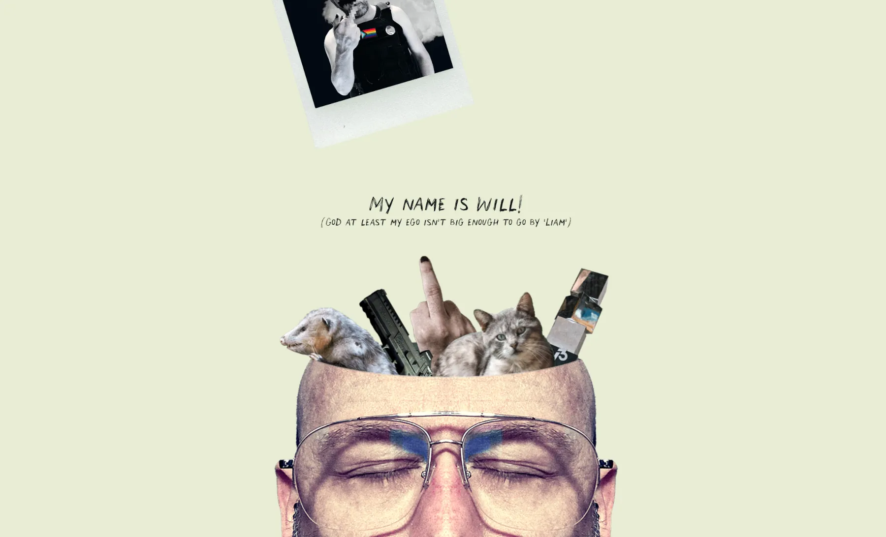 A screenshot from my homepage redesign. It features my head with the top removed and a bunch of random stuff peaking out from inside, including a kitty, oppossum, pistol, trophy, and my extended middle finger. At the top is a polaroid of me flipping you off that appears to have flown out from the opening in my skull.