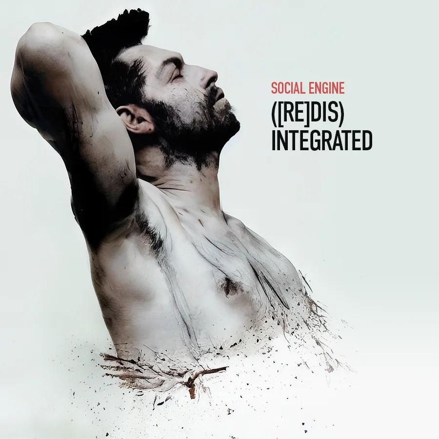 Cover Image for ([RE]DIS) INTEGRATED